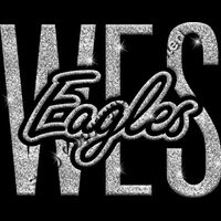 GLT95 SILVER GLITTER Thumbnail