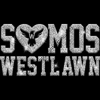 GLT51 SILVER GLITTER Thumbnail